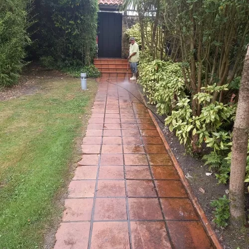 Jardinería para exteriores