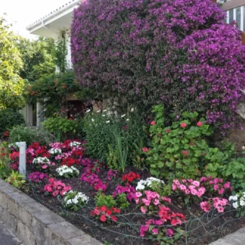 Proyecto de jardinería en Gijón
