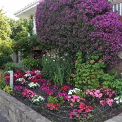 Proyecto de jardinería en Gijón