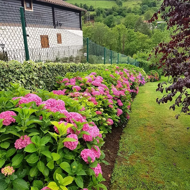 Gardenia, empresa de jardinería y limpieza en Gijón