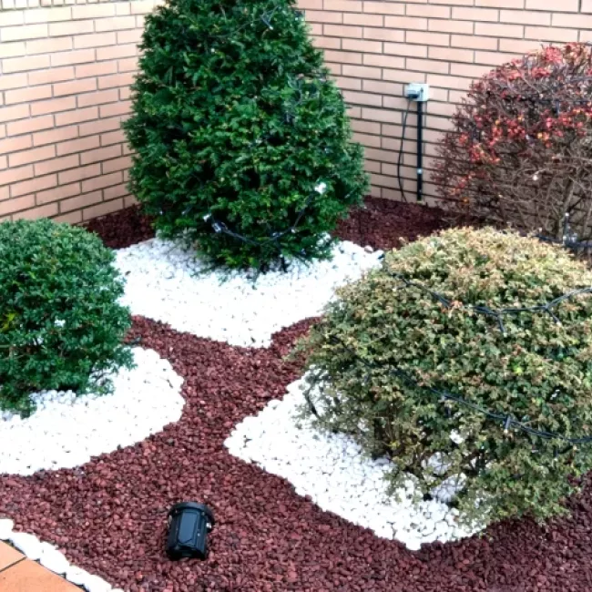 Servicio de diseño de jardines en Gijón