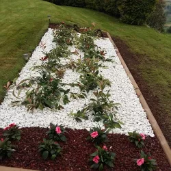Proyectos personalizados de jardinería